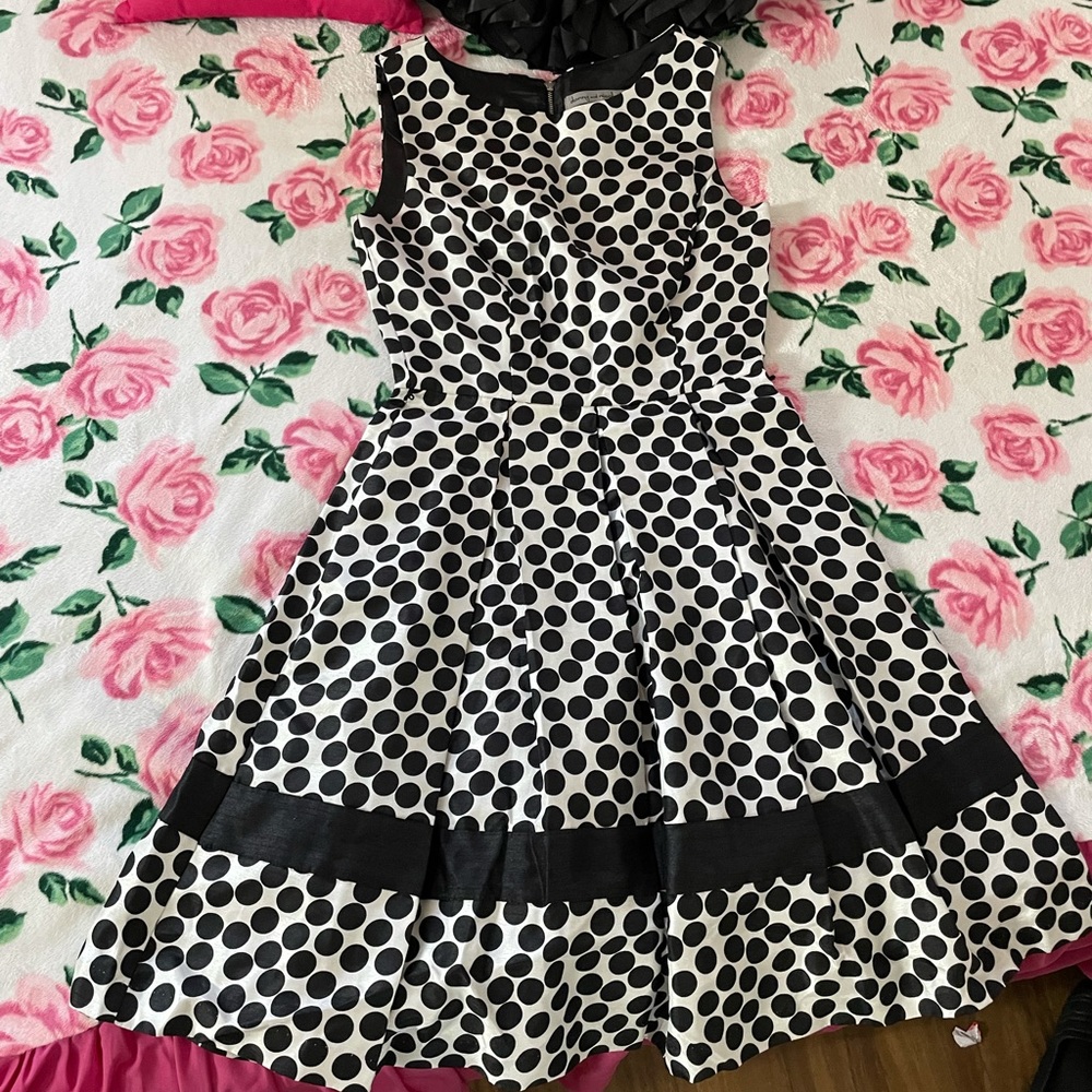 Beautiful Pleated Dress.